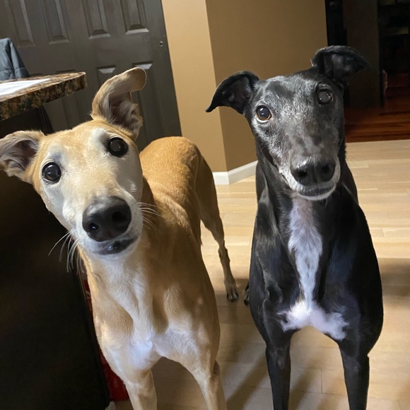 Hi! I’m Jennie and I’m glad you’ve stopped by. - Picture 4 of 4